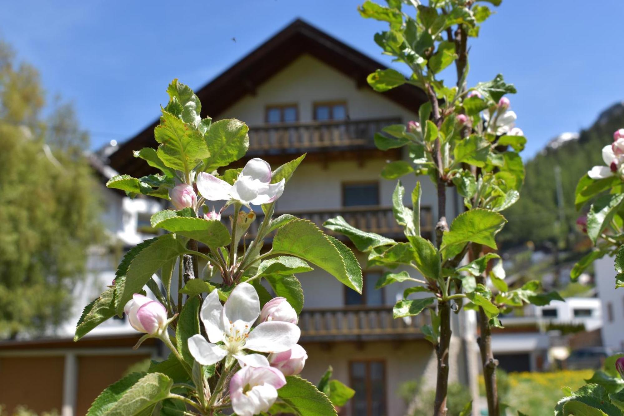 Hirschstube Nauders Bed & Breakfast Екстериор снимка